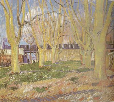 Vincent Van Gogh Avenue of Plane Trees near Arles Station (nn04) Spain oil painting art